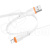 DTC-LTG-BFN-BX118-W
